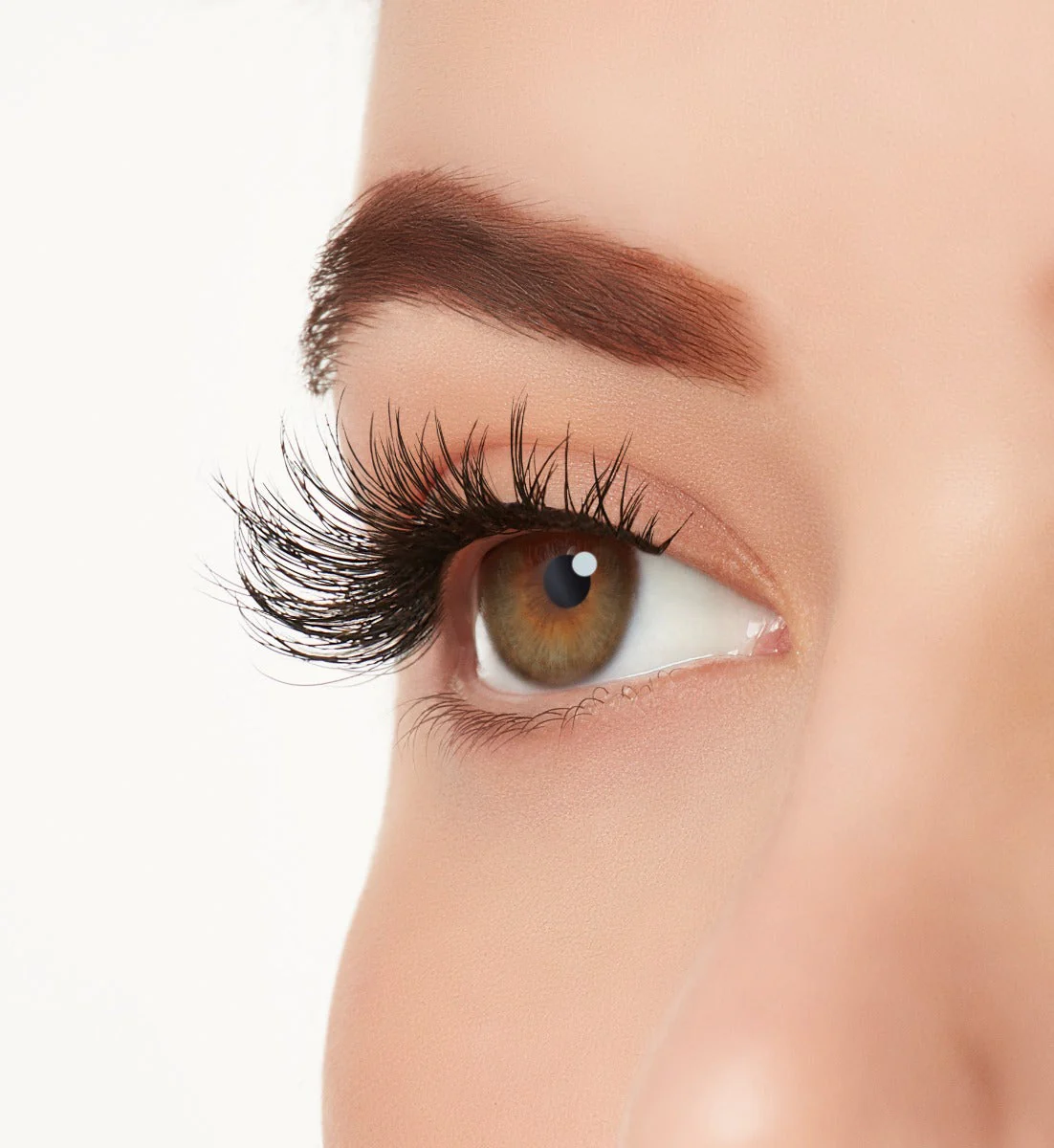 Active Lash Gainz - Image 5