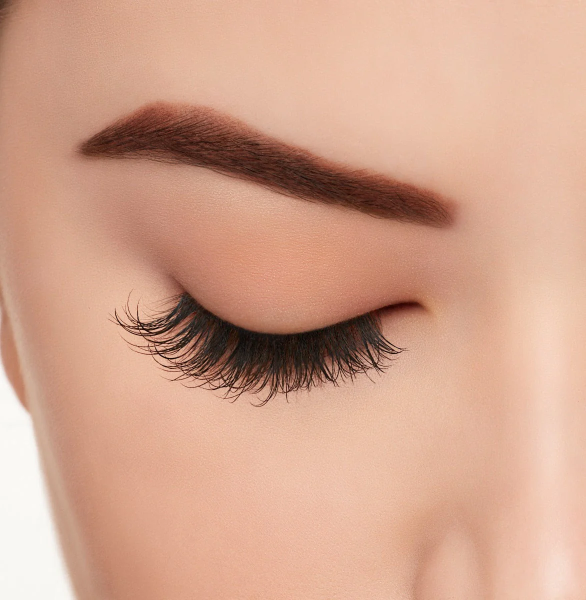 Active Lash Physical - Image 5