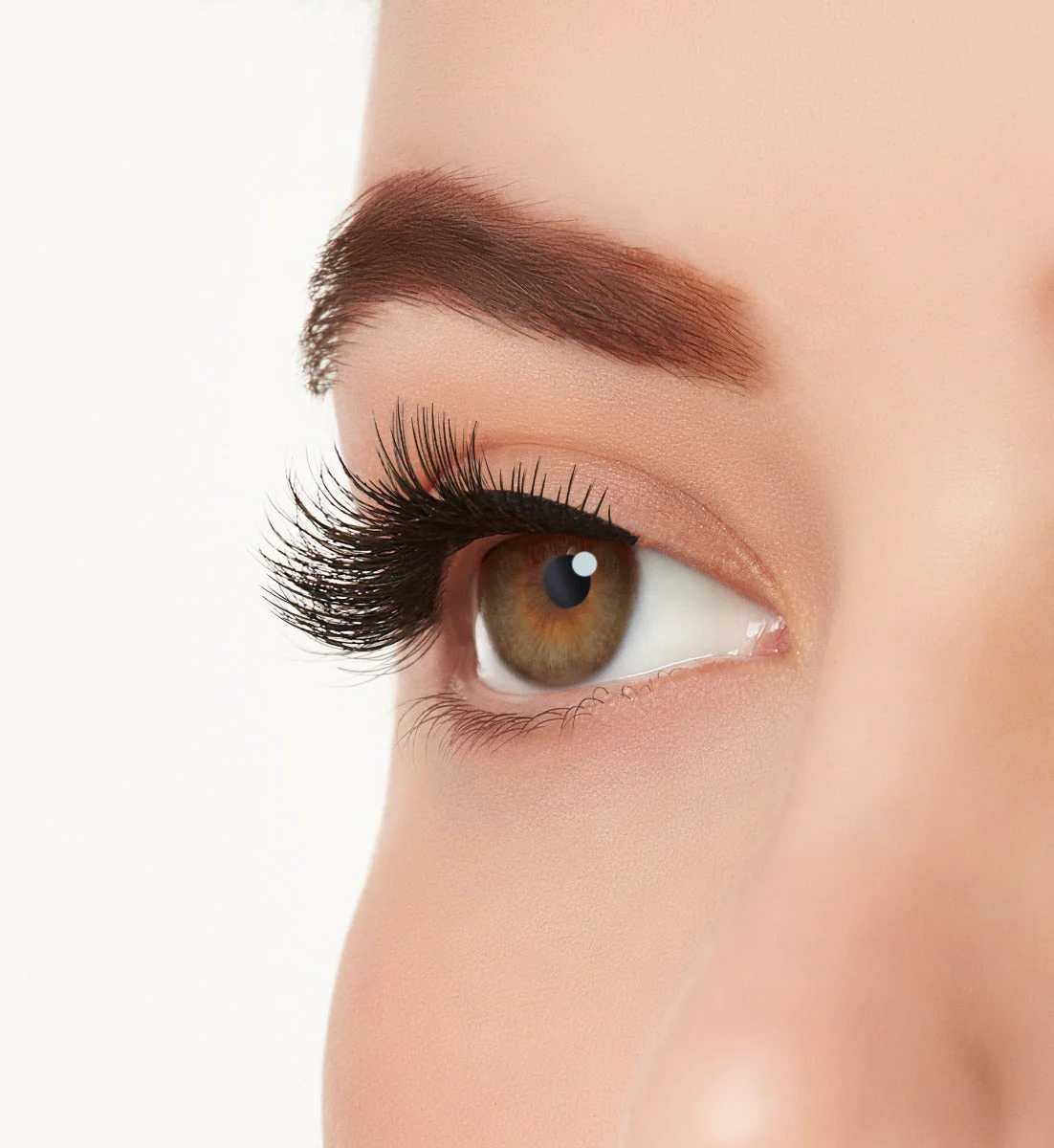 Active Lash Speedy - Image 5